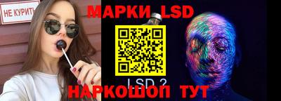 дмт Будённовск