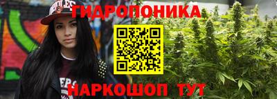 дмт Будённовск