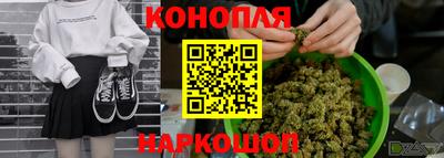 дмт Будённовск