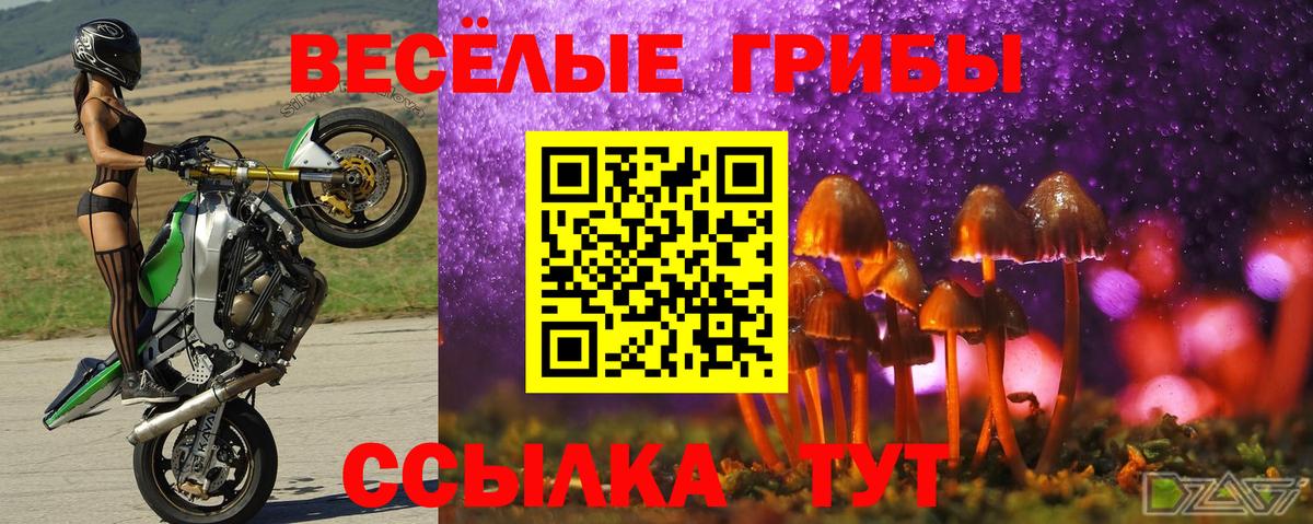 Псилоцибиновые грибы ЛСД Костомукша